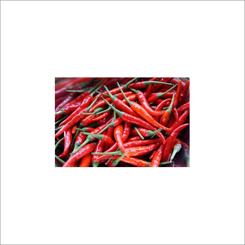 Fresh Red Chilli